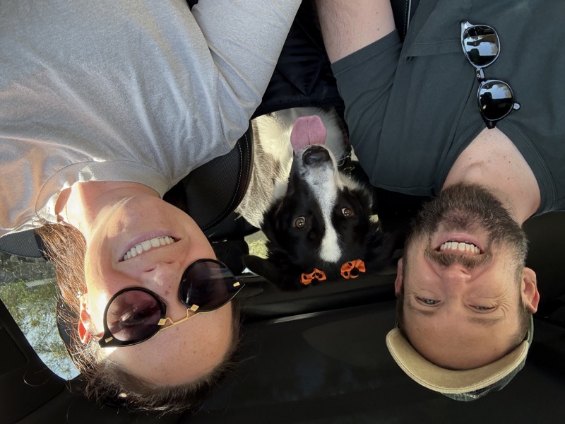 Rowdy, Turner, and Chef the border collie